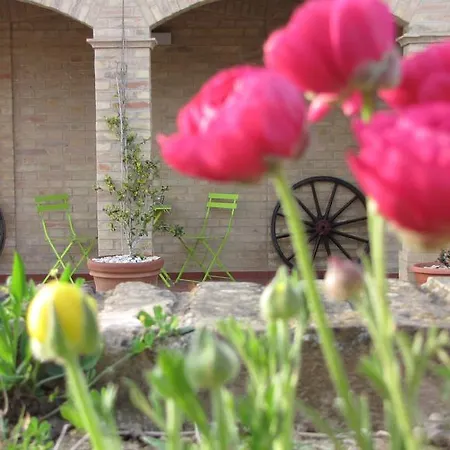 Bed And Breakfast Aratro & Rosmarino Civitanova Marche Zimmer foto