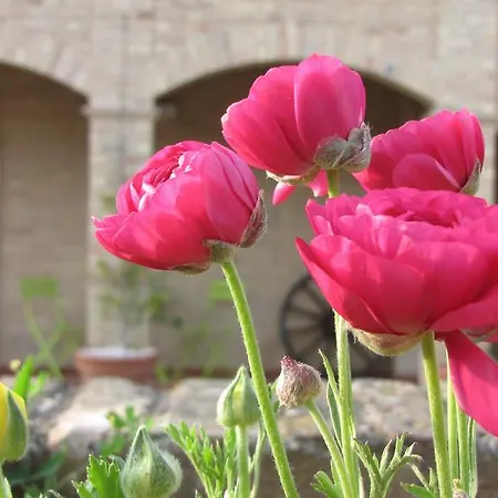 Bed And Breakfast Aratro & Rosmarino Civitanova Marche Zimmer foto